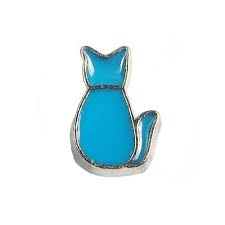 Cat Floating Charm